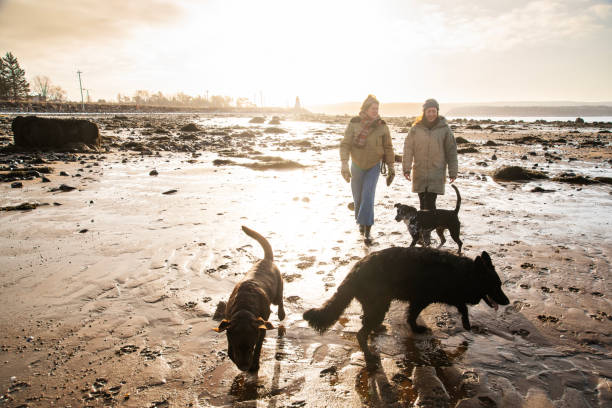 istock Mother and daughter enjoying a winter beach walk 2179634261