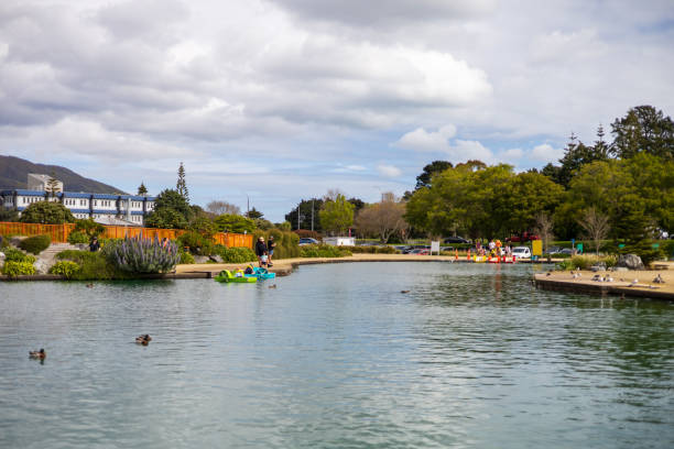 Wellington, New Zealand - October 05, 2024: Brightly colored paddle boats float on a calm lake at Avalon Park, Lower Hutt, Wellington