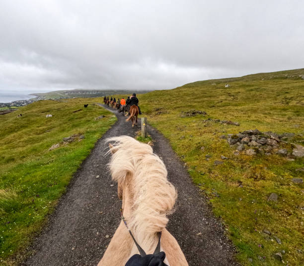 istock Horseback Riding on an Icelandic Horse 2179640797