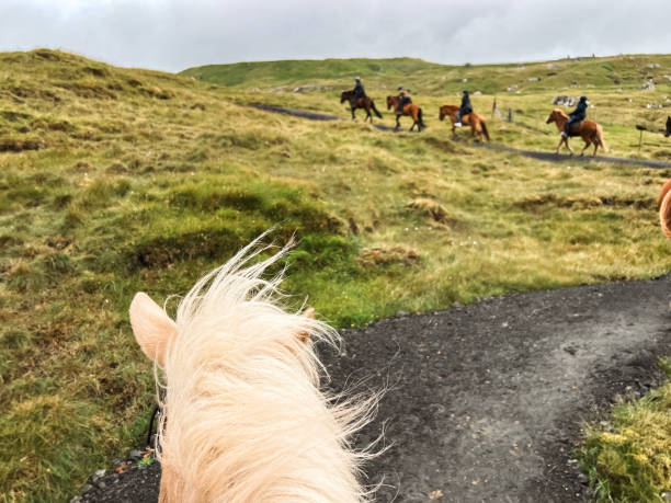 istock Horseback Riding on an Icelandic Horse 2179640801