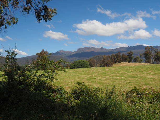 istock Ben Lomond National Park. 2179653444