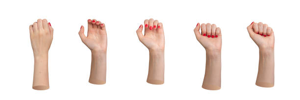 Hand clenching fist, closing process from open palm to closed, process set, gesture, sign isolated Hand clenching fist, closing process from open palm to closed, process set, gesture, sign isolated on white background. left handed catcher stock pictures, royalty-free photos & images