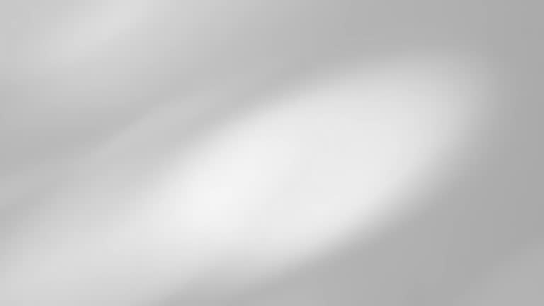 Shadow on wall. Leaves shadows overlay effect sunlight through the window.