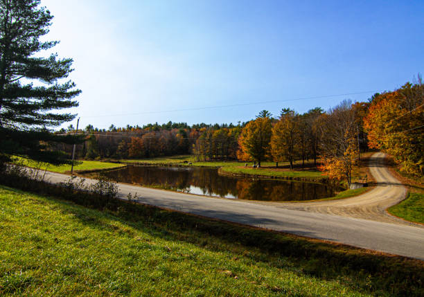 Calm pond on an autumn morning in Maine