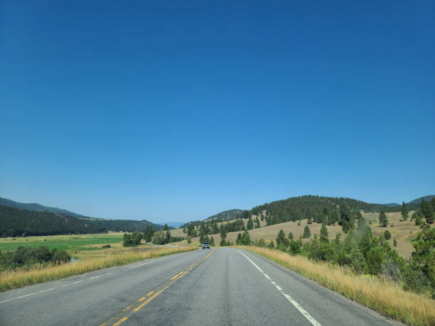 A long, straight road stretches through a vast, open landscape with golden grass and distant mountains under a clear blue sky. The scene conveys a sense of freedom and adventure.