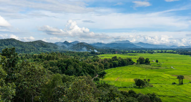 istock Agriculture green rice field with mountain under blue cloudy sky background. 2179674416