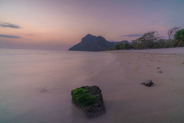 a mossy rock on the beach exposed to the waves at sunset