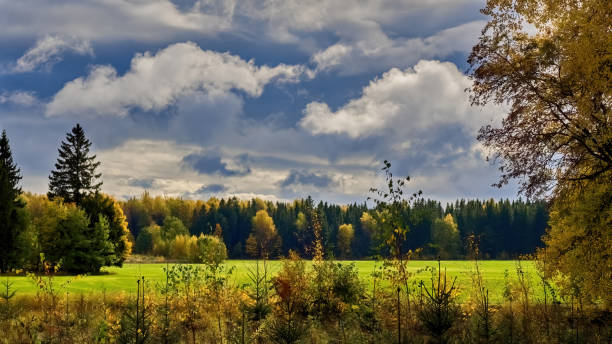 Autumn landscape. Field, forest, stormy autumn sky.