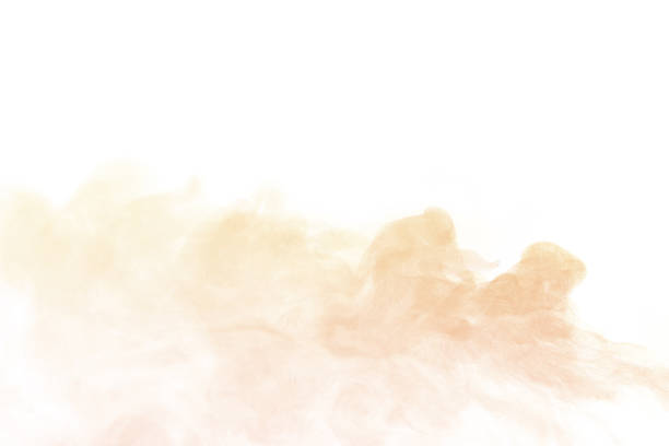 istock Sand dust, desert dust smoke texture, flying soil particles, abstract fine sand clouds, brown dust wave effect, brown dust blowing effect, isolated on white background. 2179683281