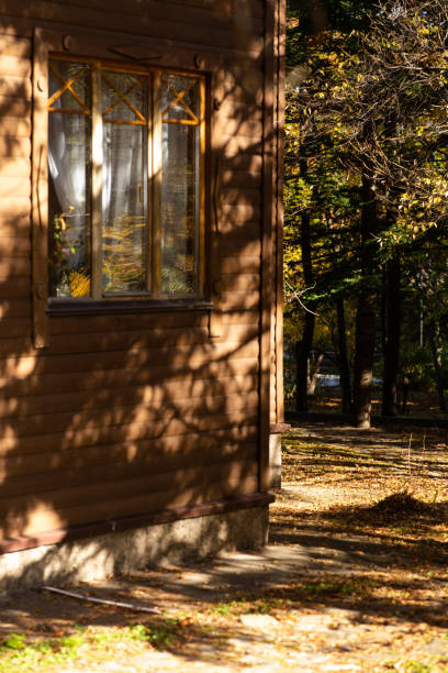 Log cottage in autumn forest. Country idyll.