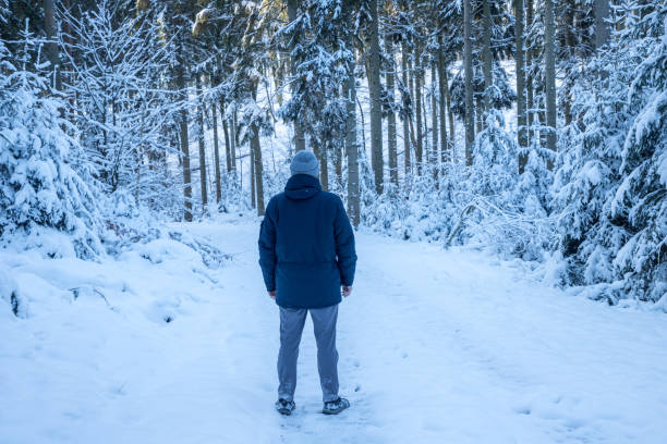 istock alone man standing in large forest in winter with snow 2179693702
