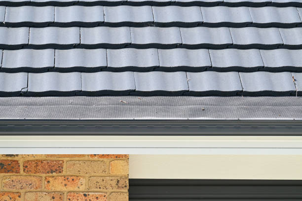istock Roof showing mesh to cover gutter 2179693766