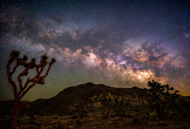 istock Milky Way at Joshua Tree National Park 2179696924