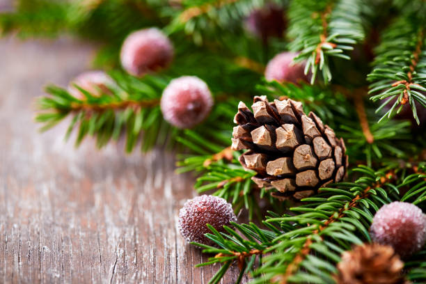 istock Christmas decoration on rustic wooden background. Close up. 2179697175