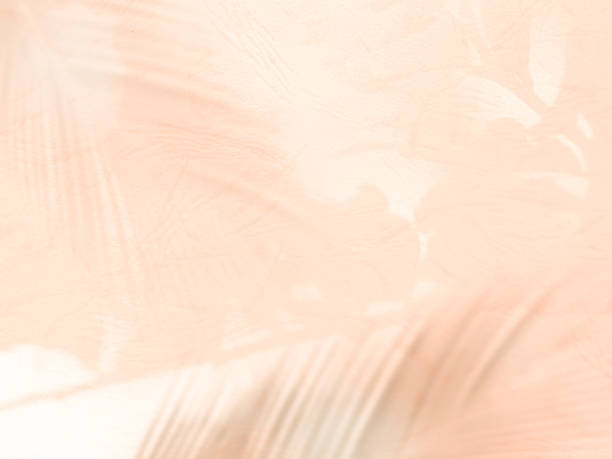 istock Wall summer background pink peach color gradient abstract floor blur cement pastel overlay shadow palm leaf minimal for presentation product cosmetic aesthetics beauty, platform backdrop room mockup. 2179698537