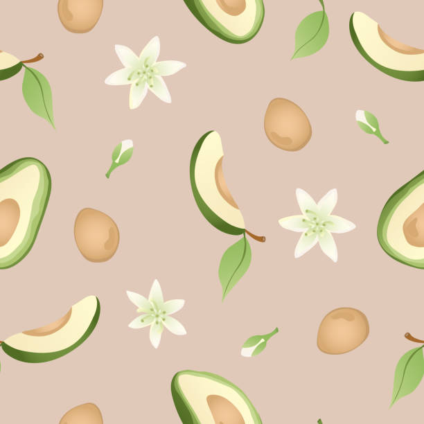 istock Seamless pattern with hand drawn green  avocado halves. Fresh organic vegetable, healthy, vegan, raw food. 2179706470