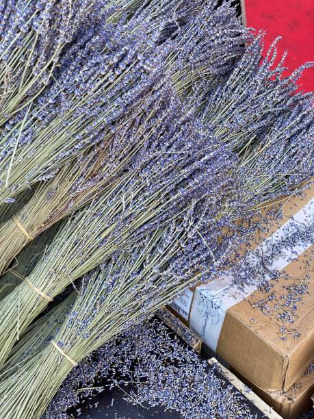 istock Closeup Image of Lavender Bunches on a Market Fair Table 2179711152