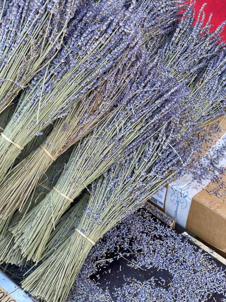 istock Closeup Image of Lavender Bunches on a Market Fair Table 2179711162