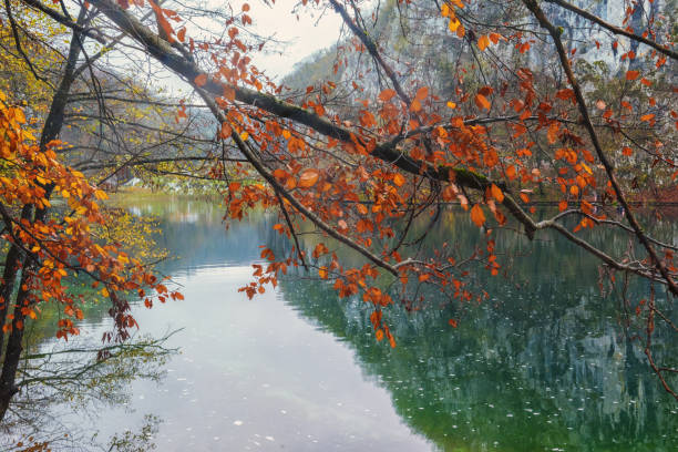 istock Plitvice Lakes National Park. An integral ecosystem unaffected by human activity. Travel. Autumn landscape 2179716331