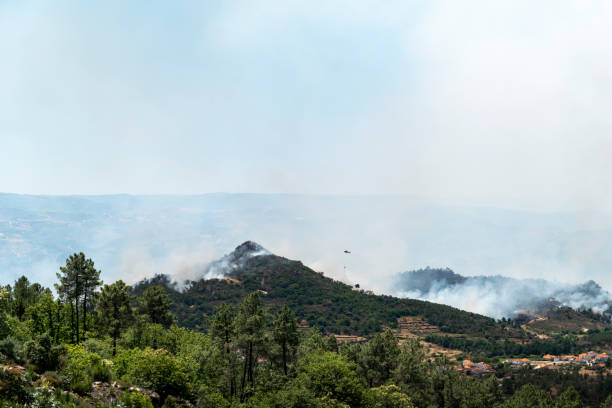 istock Aerial firefighting in action 2179718176