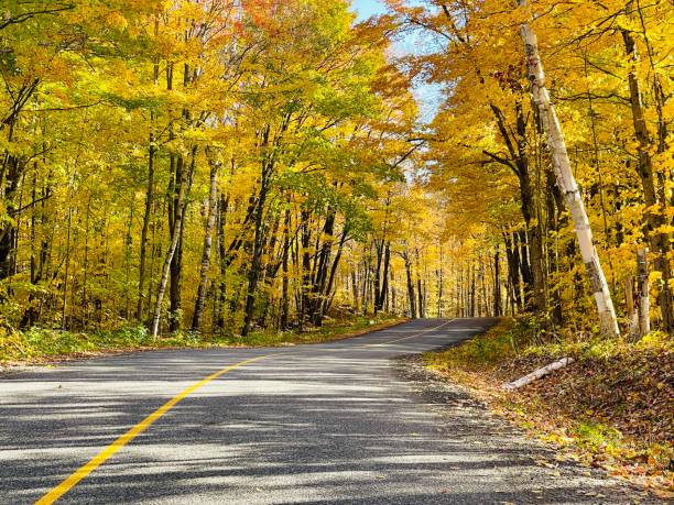 istock Beautiful Indian summer in Ontario Canada 2179719775