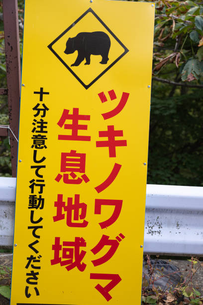 istock Asiatic black bear habitat sign 2179721517