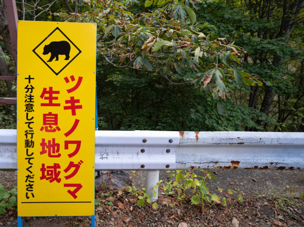 istock Asiatic black bear habitat sign 2179721538