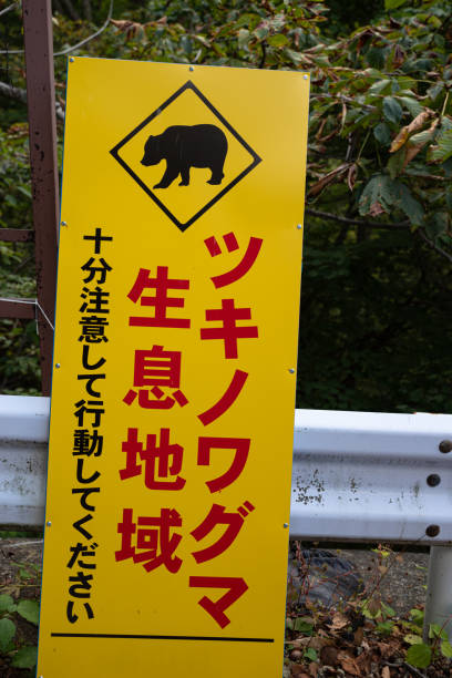 istock Asiatic black bear habitat sign 2179721564