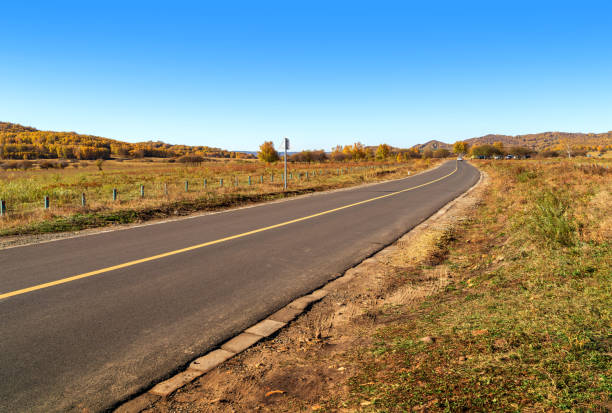 Empty road leading through fall foliage forest in the autumn