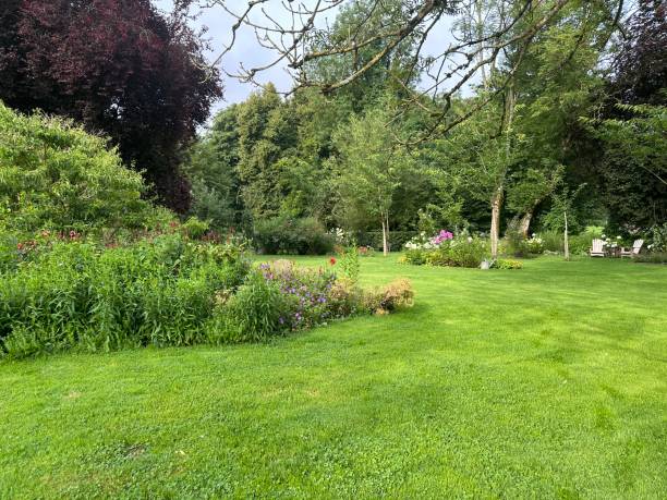 istock A lush green garden landscape 2179734340