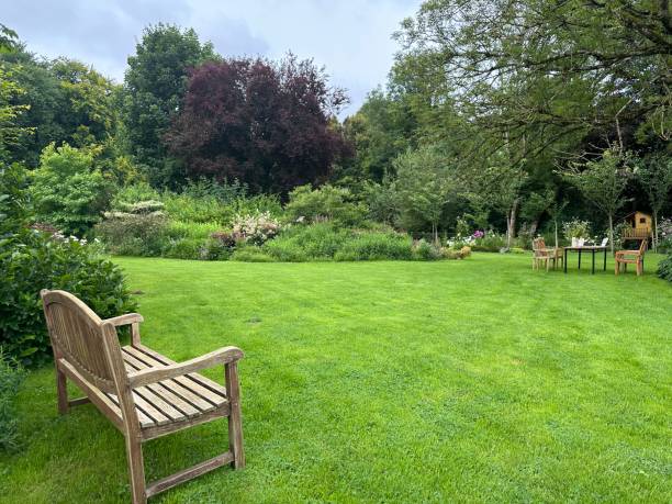 A serene garden with a wooden bench