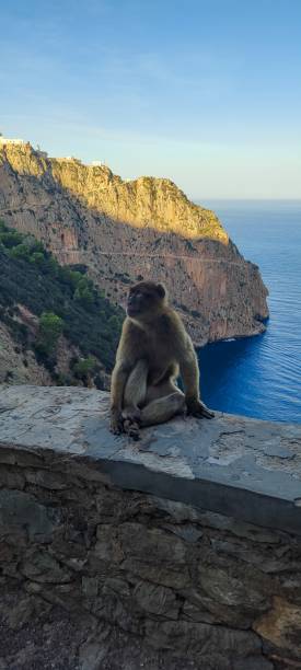 istock Wild nature in Bejaia 2179738703