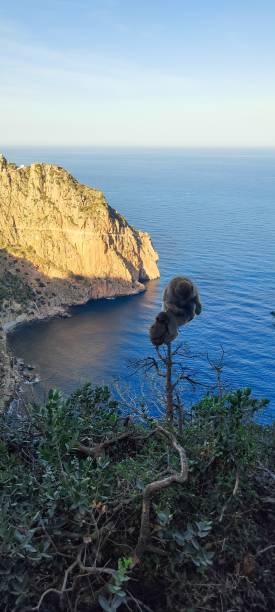istock Wild nature in Bejaia 2179738846