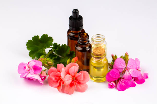 istock Geranium flower and geranium essential oil 2179739303
