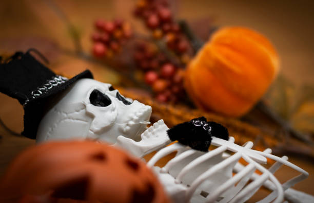 Closeup Image Of Skeleton For Halloween. Pumpkin and Bat on Background