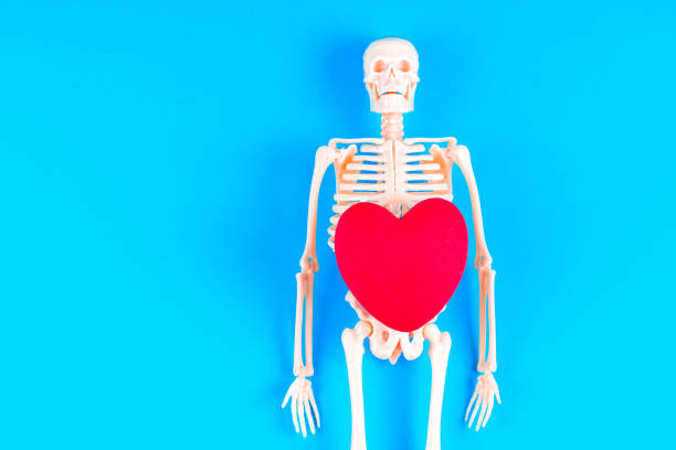 istock Skeleton with Red Heart on Bright Blue Background 2179746259