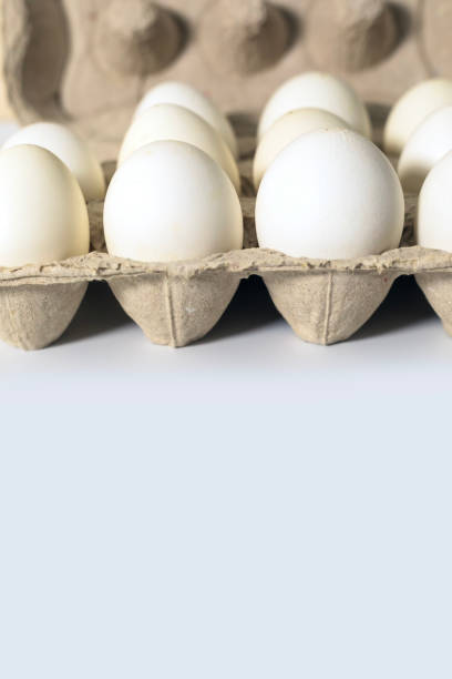 istock White eggs in a carton box on white background with copy space 2179747086