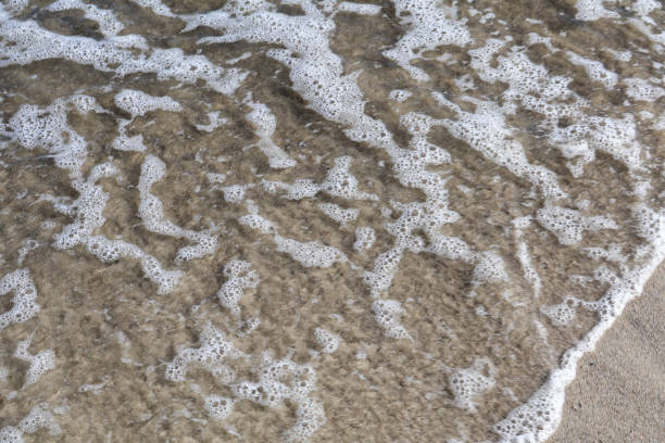 istock Foamy Ocean Waves Gently Reaching Sandy Beach Shoreline Close-Up 2179752609