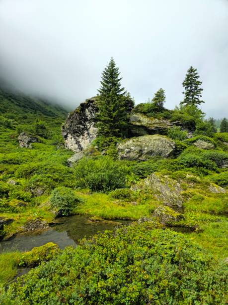 Landscape in the swiss alps (canton of glarus) on a foggy day. Captured durings summer season.