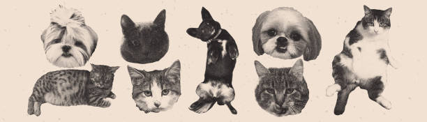 Vector collage set with funny dogs and cats. Vintage halftone stipple effect