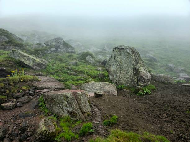 Landscape in the swiss alps (canton of glarus) on a foggy day. Captured durings summer season.