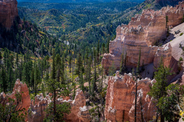 istock Green Forest and Hoodoos in Bryce Canyon 2179762462
