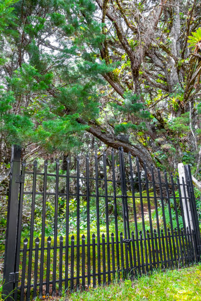 istock Forbidden locked nature jungle and forest behind fence and gate. 2179767412