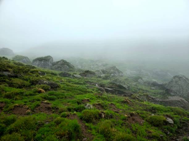 istock Landscape with rocks in fog 2179768749