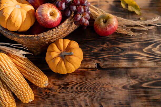Fall harvest cornucopia. Pumpkin with fruit in autumn season. For Thanksgiving and Halloween decoration event.
