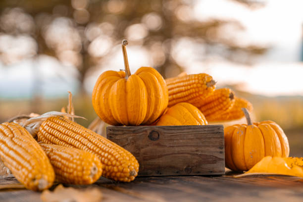 istock Fall harvest cornucopia. Pumpkin with fruit in autumn season. For Thanksgiving and Halloween decoration event. 2179768762