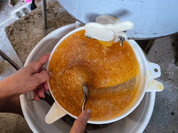 Art of purity. Filtering honey through a sieve for a clean, refined taste