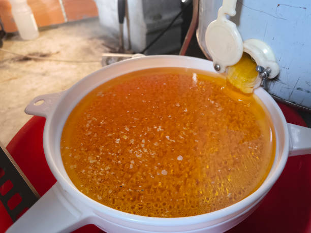 Straining honey and delicately perfecting its flavor through various filters