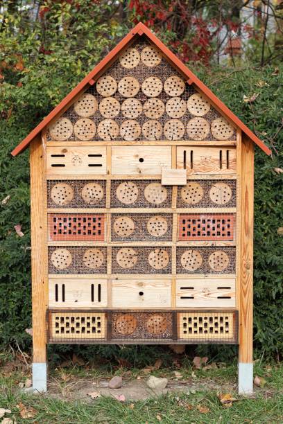 istock A house or hotel for insects in the park 2179775615