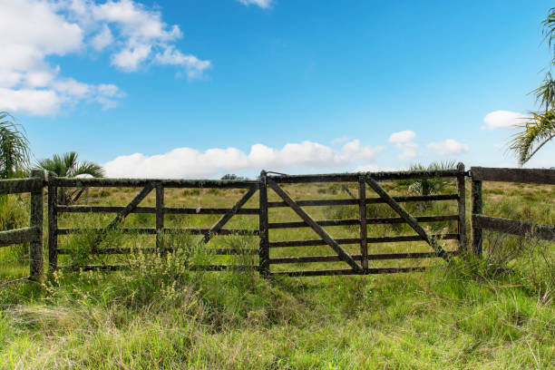 Old horse paddock, full frame horizontal composition, background with copy space